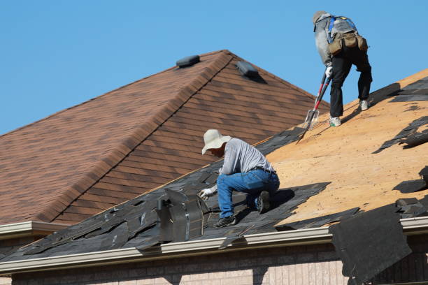 Best Sheet Metal Roofing  in Franklin, CA