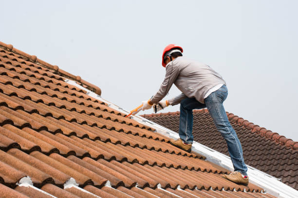 Best Roof Installation  in Franklin, CA